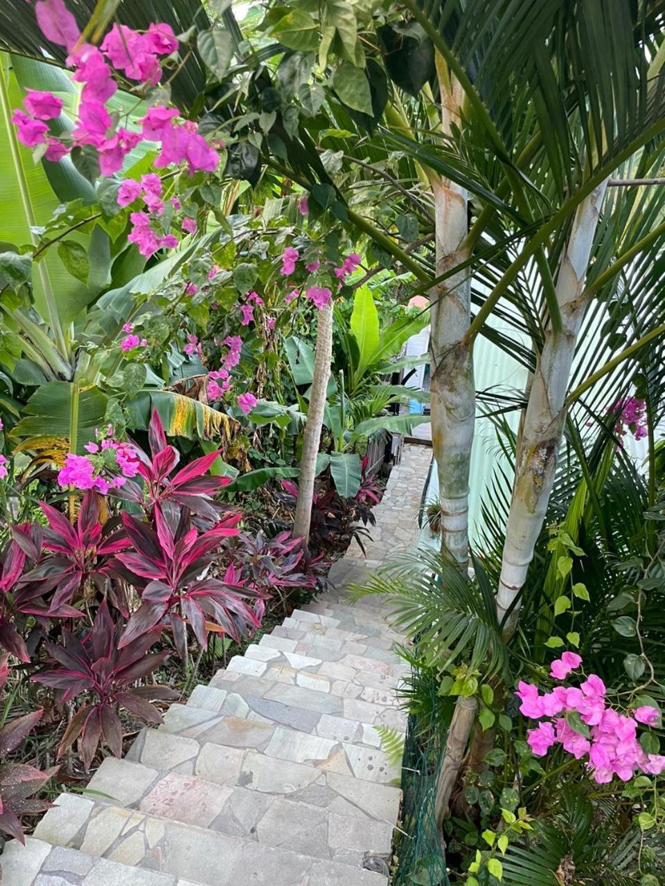 La Casita Ilohe Villa Rivière-Salée Kültér fotó